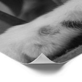 Bitte Kitty Poster (Ecke)