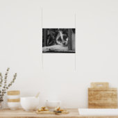 Bitte Kitty Poster (Küche)