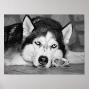 Bitte lass mir schlafen. poster