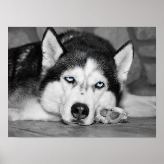 Bitte lass mir schlafen. poster (Vorne)