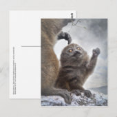 Bitte Mama Postkarte (Vorne/Hinten)