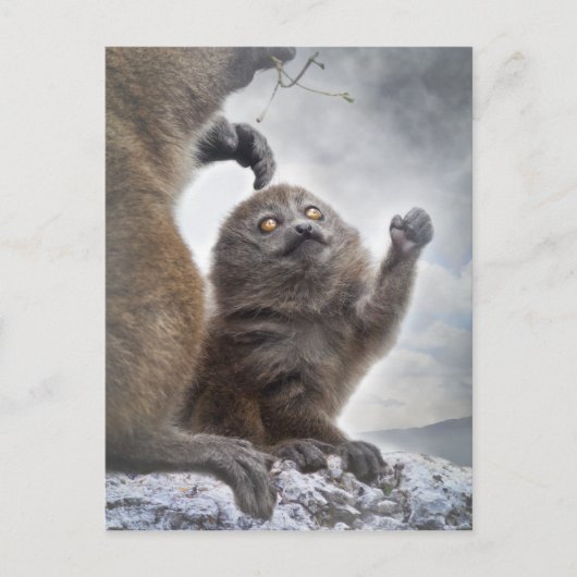 Bitte Mama Postkarte (Vorderseite)