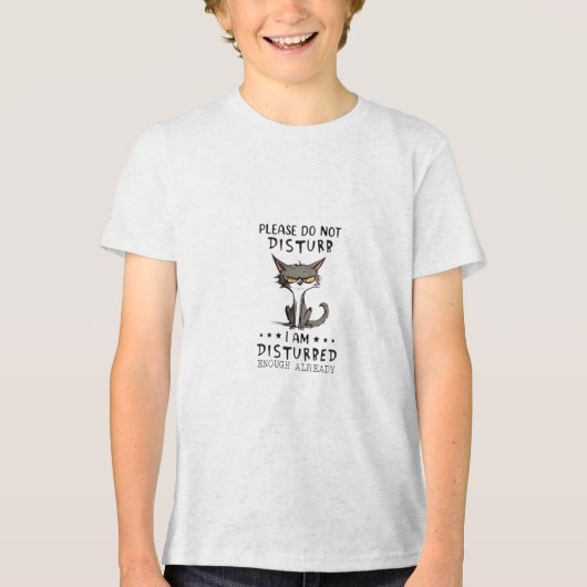 Bitte nicht stören. Grummelmodus. Nein. Tri-Blend Shirt (Vorderseite)