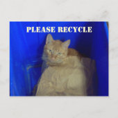 Bitte Postkarte Gerecycelt (Vorderseite)