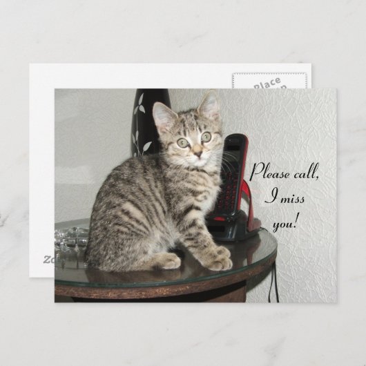 Bitte rufen Sie Kitty an Postkarte (Vorne/Hinten)
