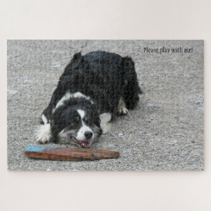 Bitte spielen Sie mit mir Border Collie Hund perso Puzzle