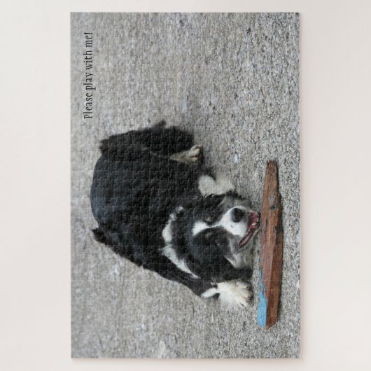 Bitte spielen Sie mit mir Border Collie Hund perso Puzzle (Vertikal)