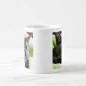 Bitte spucken Sie Ihre Katze Vermeidung unerwünsch Kaffeetasse (Mittel)