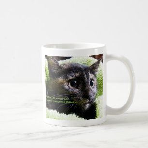 Bitte spucken Sie Ihre Katze Vermeidung unerwünsch Kaffeetasse