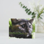 Bitte spucken Sie Ihre Katze Vermeidung unerwünsch Postkarte (Stehend Vorderseite)