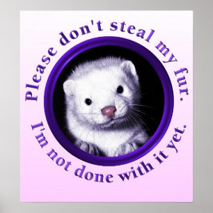 Bitte stehlen Sie nicht meinen Pelz, ich werden Poster