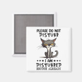 Bitte stören Sie nicht den sonnigen Kühlschrank vo Magnet (Vorderseite/Rückseite)