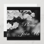 Bitte treten Sie uns bei Einladung (Vorne/Hinten)