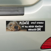 Bitte züchten Sie nicht oder kaufen Sie, während Autoaufkleber (Auf Auto)