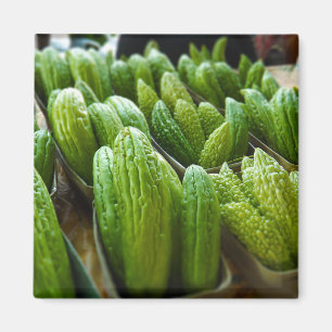 Bitter Melon Cucumber City Market Kansas City Magnet