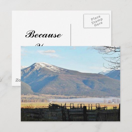 Bitterroot-Gebirgsfelder Postkarte (Vorne/Hinten)