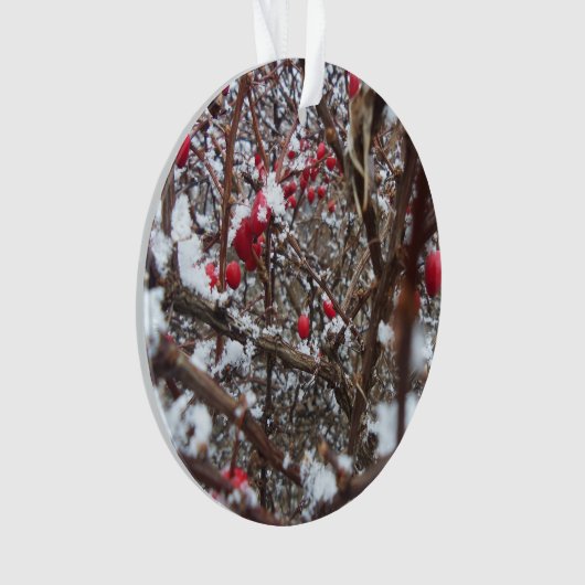 Bittersüße Beeren-Verzierung Ornament (Vorderseite)