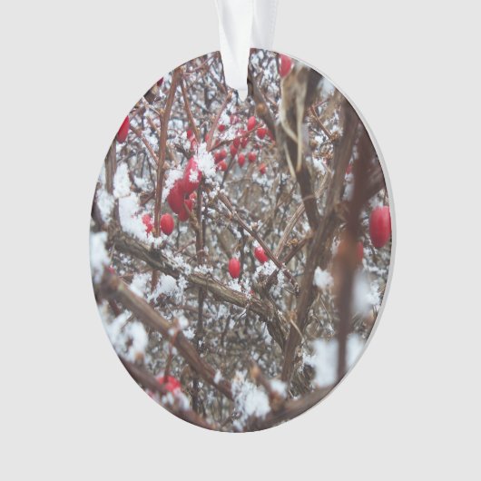 Bittersüße Beeren-Verzierung Ornament (Vorderseite)