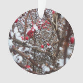 Bittersüße Beeren-Verzierung Ornament (Vorderseite)