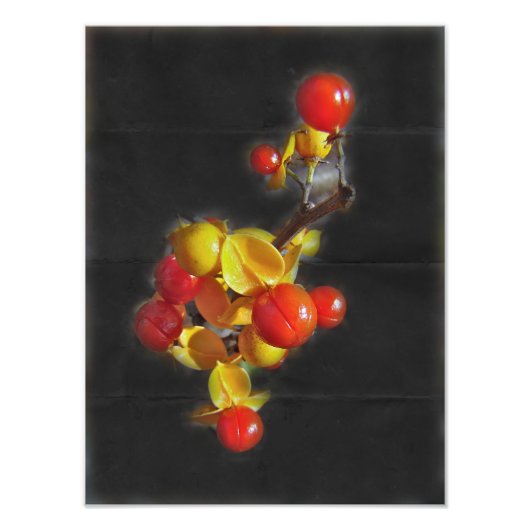 Bittersüße Berries - Herbstschönheit Fotodruck (Vorne)