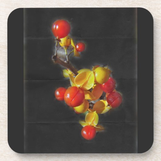 Bittersüße Berries - Herbstschönheit Getränkeuntersetzer (Vorderseite)