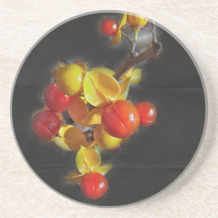 Bittersüße Berries - Herbstschönheit Getränkeuntersetzer