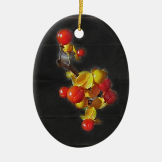 Bittersüße Berries - Herbstschönheit Keramikornament (Vorne)