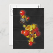 Bittersüße Berries - Herbstschönheit Postkarte (Vorne/Hinten)