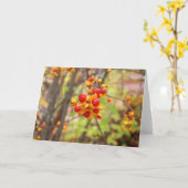 Bittersüße Berries Karte (Gelbe Blume)