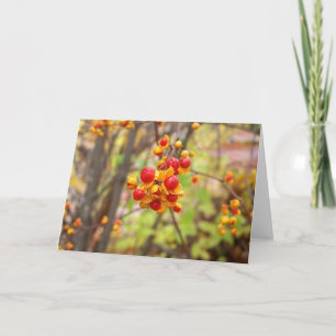 Bittersüße Berries Karte