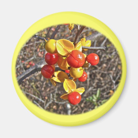 Bittersüße Weinberge Magnet (Vorne)