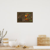 Bittersüßer Fotoposter Poster (Küche)