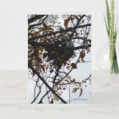 Bittersüßes Nest Karte (Vorderseite)