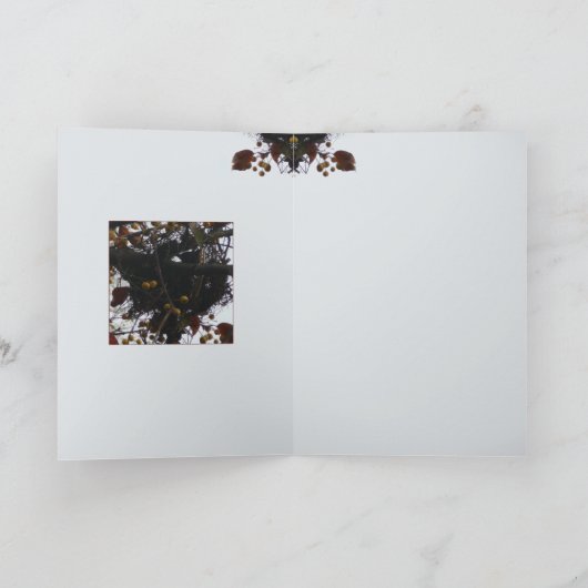 Bittersüßes Nest Karte (Innenseite)