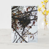 Bittersüßes Nest Karte (Gelbe Blume)