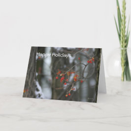 Bittersweet Winter Holiday Card Feiertagskarte
