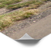 Biz Jet in Tuscon Poster (Ecke)