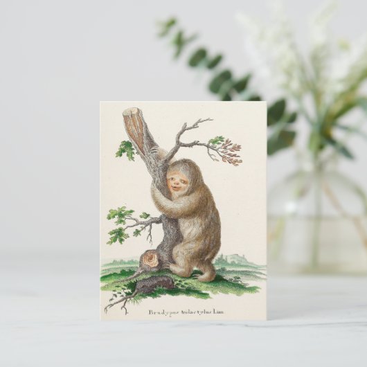 Bizarre Vintag Sloth Illustration Postkarte (Stehend Vorderseite)