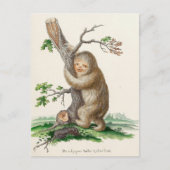 Bizarre Vintag Sloth Illustration Postkarte (Vorderseite)