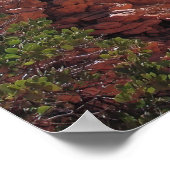 Bizzare Bryce Canyon Poster (Ecke)