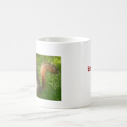 BizzareWorld beklageneichhörnchen-Kaffee-Tasse Kaffeetasse (Mittel)