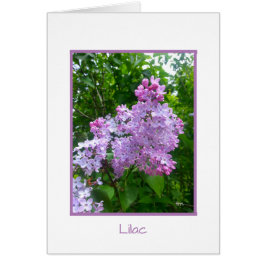 BJH "Garten-Rückzug-" Sammlungs-Gruß-Karte