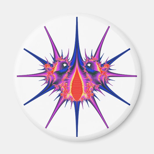 BK Bug Magnet (Vorne)