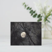 BL- Moon and Trees Nature Postcard Postkarte (Stehend Vorderseite)
