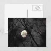 BL- Moon and Trees Nature Postcard Postkarte (Vorne/Hinten)