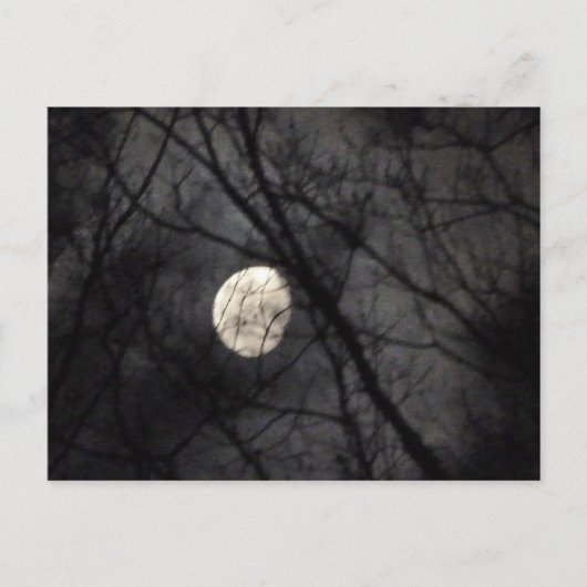 BL- Moon and Trees Nature Postcard Postkarte (Vorderseite)