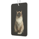 Black 4 Luxe Car Air Fresheners, Birmanese Cat Autolufterfrischer (Links)