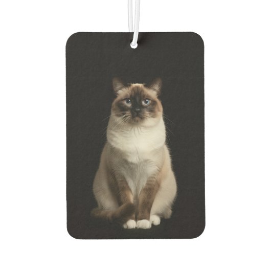 Black 4 Luxe Car Air Fresheners, Birmanese Cat Autolufterfrischer (Rückseite)