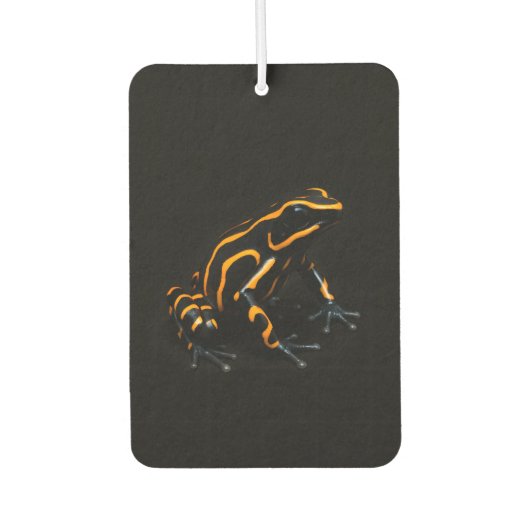Black 4 Luxe Car Air Fresheners, Black Orange Frog Autolufterfrischer (Vorderseite)