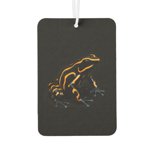 Black 4 Luxe Car Air Fresheners, Black Orange Frog Autolufterfrischer (Rückseite)